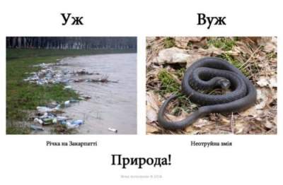 Украинцы отреагировали на закон «Об образовании» забавными картинками