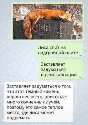 Уморительные СМС, которые могли написать только женщины