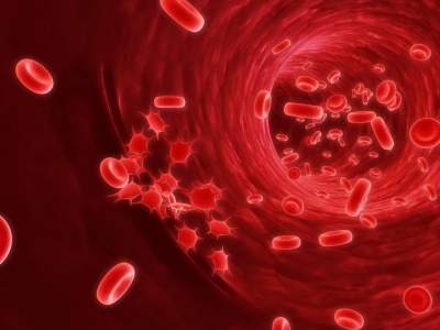 Онкологи озвучили вероятные причины развития рака крови 