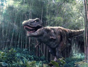  Ученые установили, что хищные динозавры на самом деле не ели мяса 