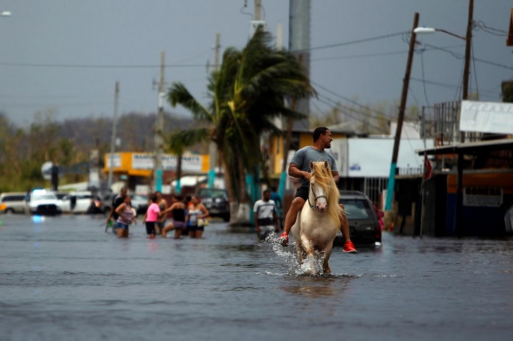 Пуэрто-Рико после урагана Мария
