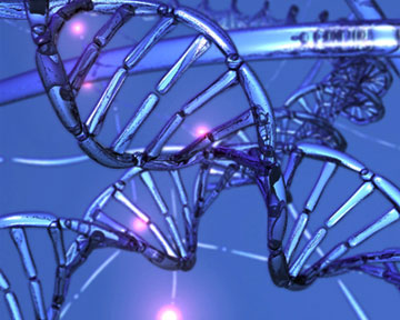 ДНК подсказало технологию защиты информации