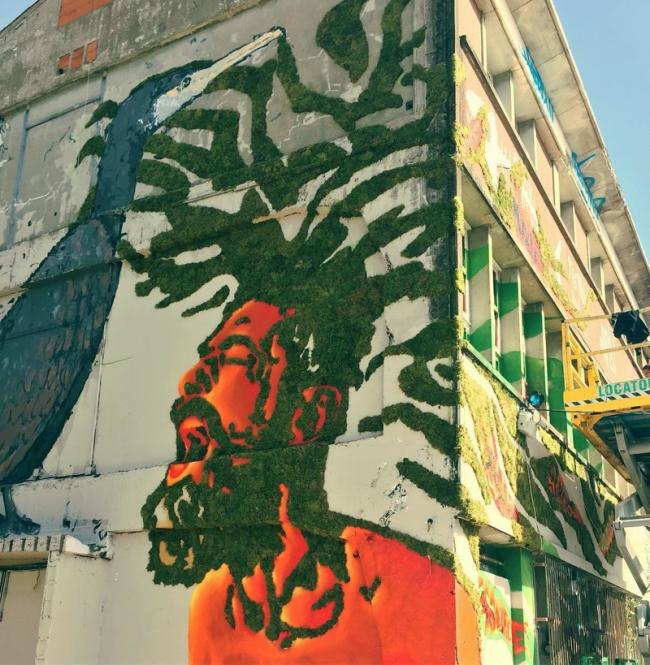 Экологически чистый стрит-арт: граффити, нарисованные мхом (ФОТО)