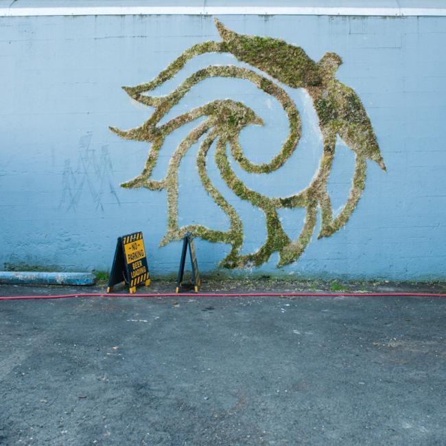Экологически чистый стрит-арт: граффити, нарисованные мхом (ФОТО)