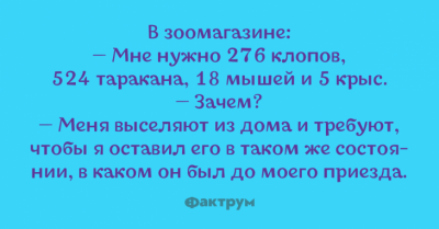 "Не знаю зачем купила, но очень дёшево": веселые приколы из реальной жизни