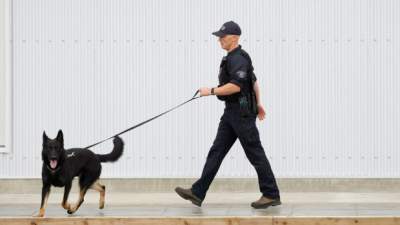 В Канаде боевой пес нечаянно выстрелил из пистолета