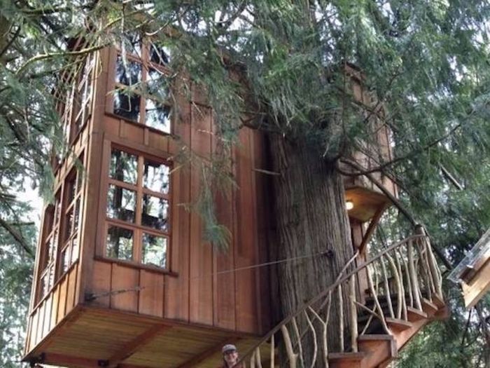 Необычные дома на деревьях