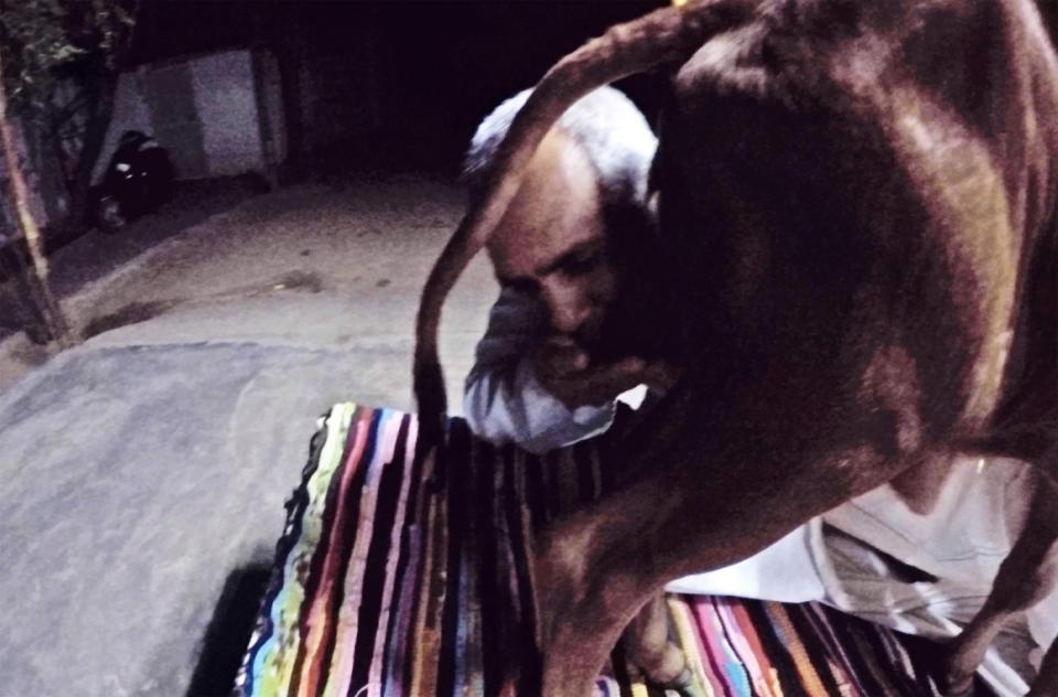 Бывший игроман из Индии бросил семью и теперь живет с тёлками