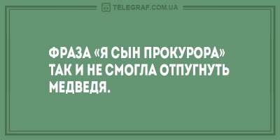 Свежие анекдоты о боксерах и бесстрашных медведях