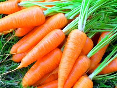 Названы заболевания, при которых рекомендуется есть морковь