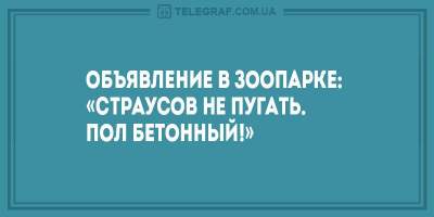 Свежие анекдоты о женской мести и солдатских радостях