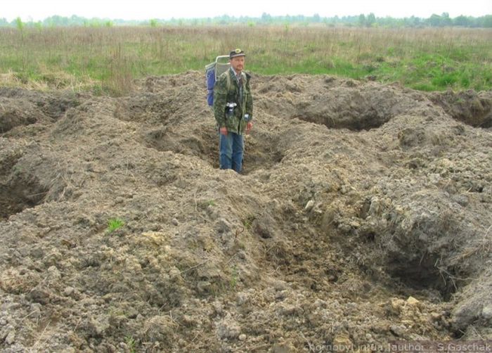 Животный мир в окрестностях Чернобыльской АЭС