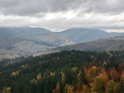 Золотая пора осени в горах Карпат. Фото