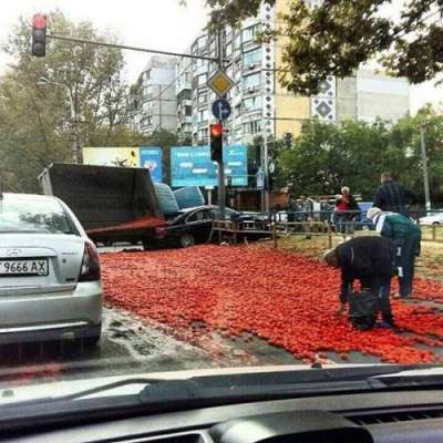 Смех да и только: забавные картинки о жизненных неудачах