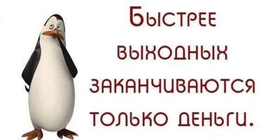 "Зарядись позитивом!": смешные картинки для хорошего настроения 