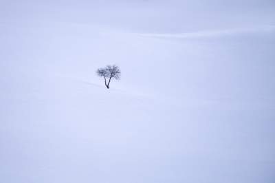 Альпы в завораживающих пейзажах итальянского фотографа. Фото