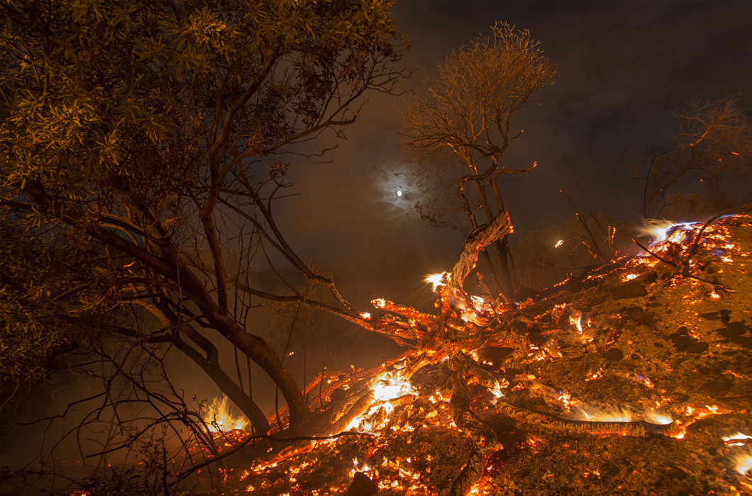 Фотопроект о лесных пожарах в США