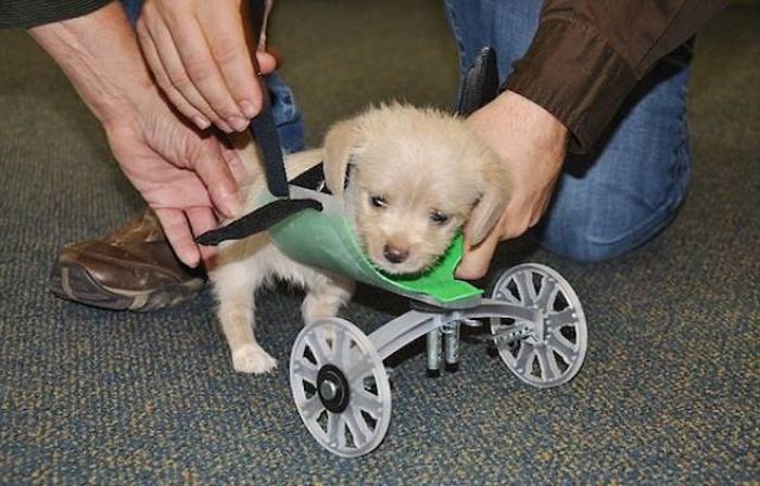 Удивительные вещи, созданные с помощью 3D-принтера