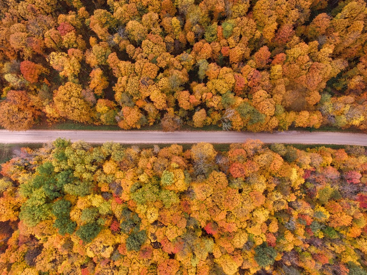 Красоты осени на снимках Аарона Бурдена