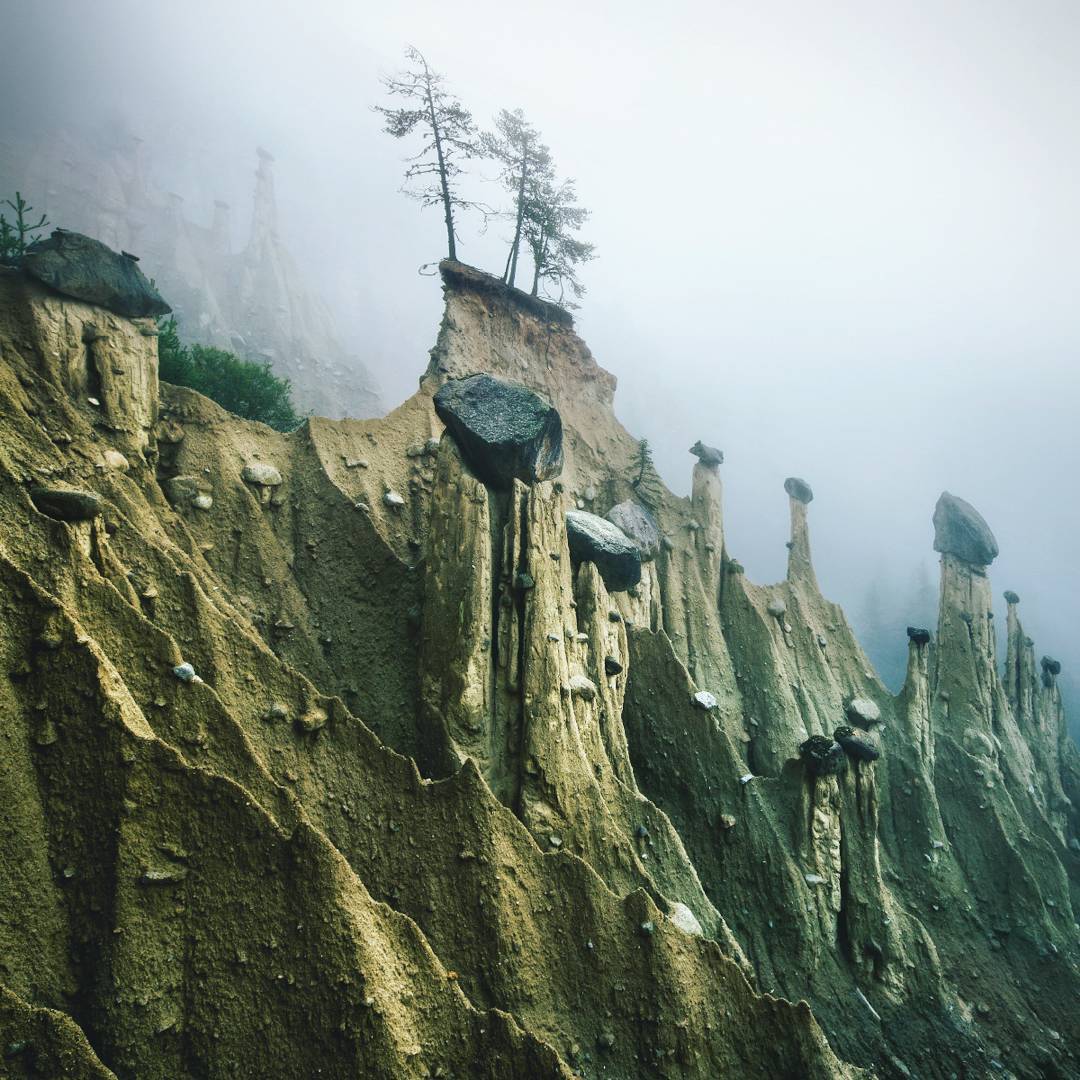 Снимки природы от фотографа с дальтонизмом Килиана Шонбергера