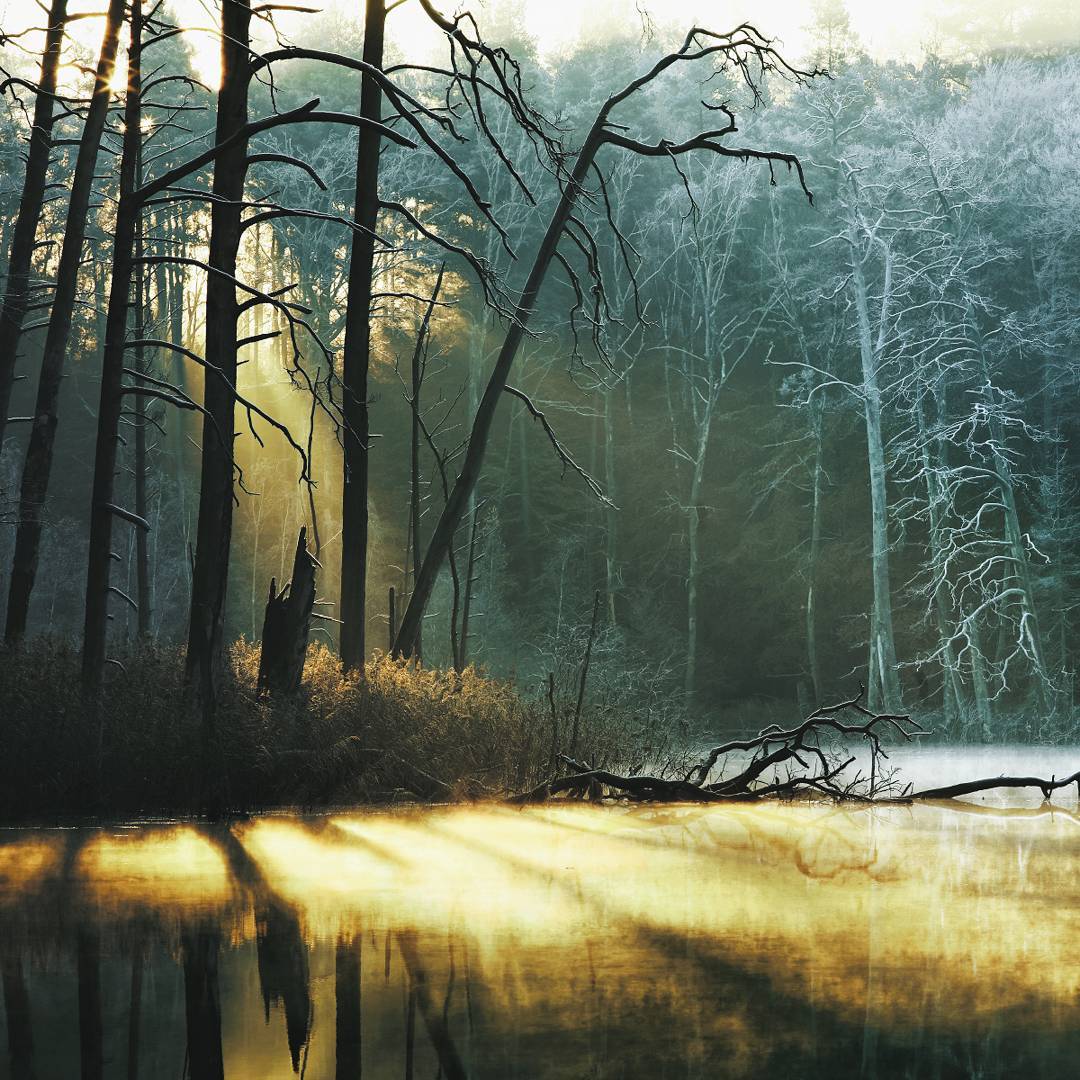 Снимки природы от фотографа с дальтонизмом Килиана Шонбергера