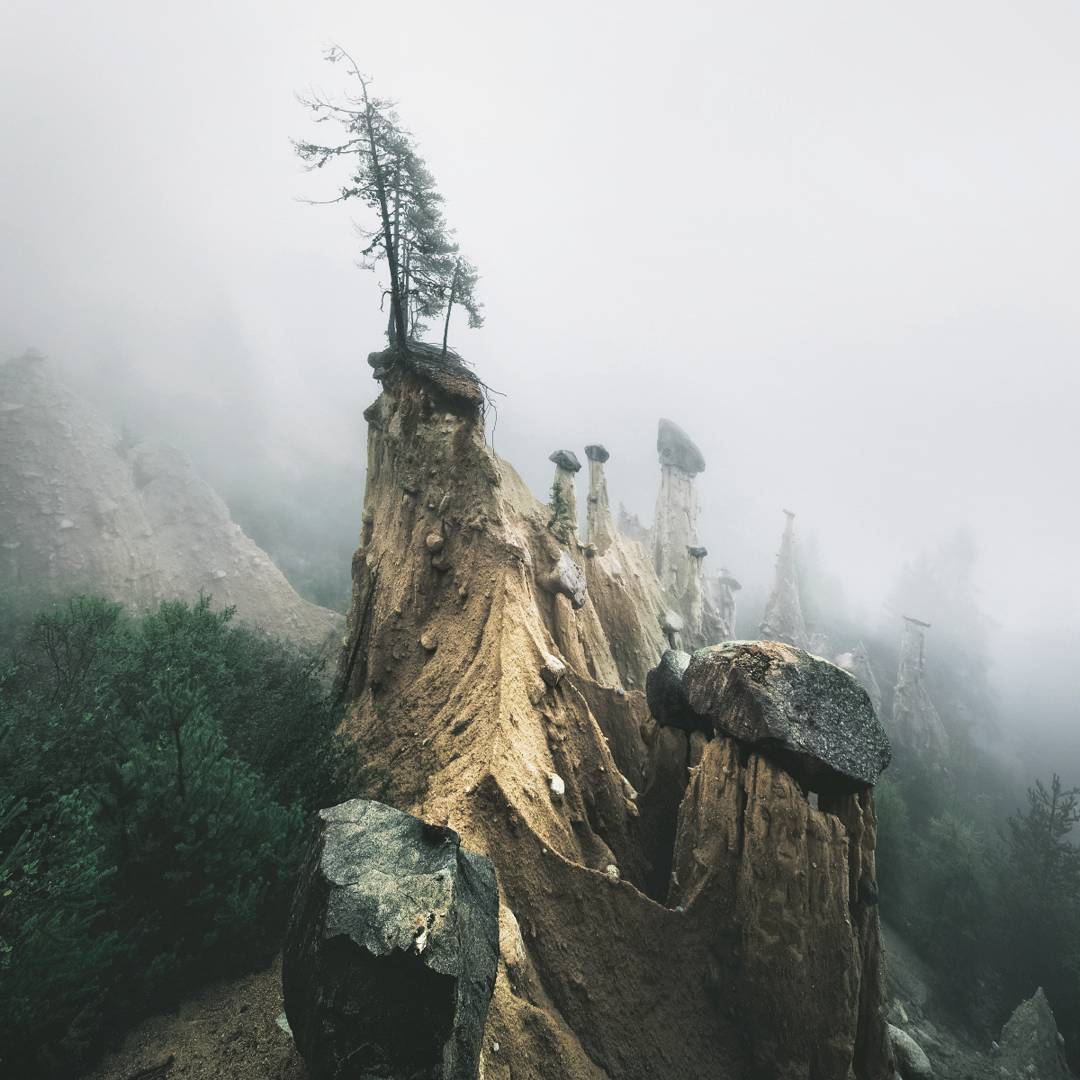 Снимки природы от фотографа с дальтонизмом Килиана Шонбергера