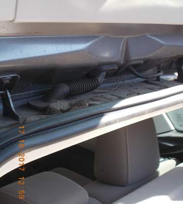 На Херсонщине огромная змея уютно устроилась в багажнике авто
