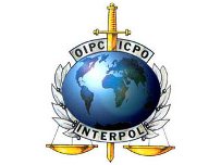 В четверг Украину посетит делегация Интерпола
