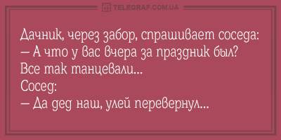 Свежие анекдоты о веселых дачниках и болтливых дамах