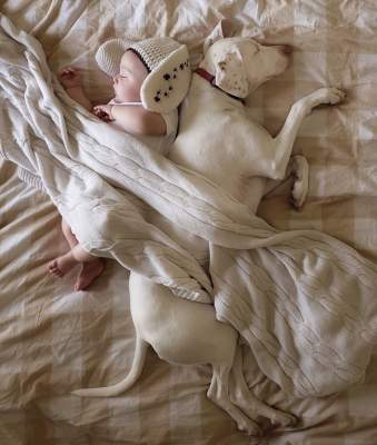 Новая звезда Instagram: собака, "влюбившаяся" в новорожденного малыша