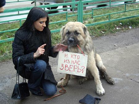 Украинские ветеринары устроили кетаминовый бунт