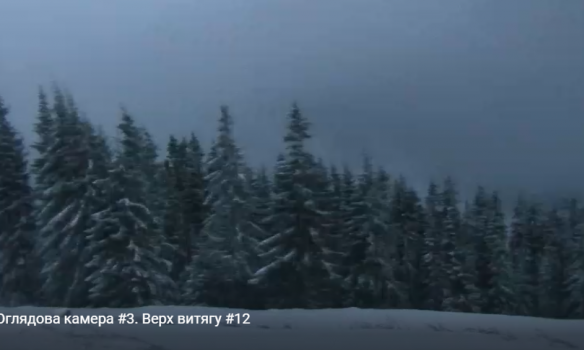 Снег в Карпатах. Скриншот с веб-камер в Буковели