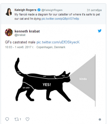 Минутка задорного смеха: в Twitter показали, как правильно гладить кошку