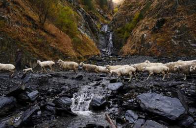 Неповторимая красота Кавказа в работах новозеландского мастера. Фото