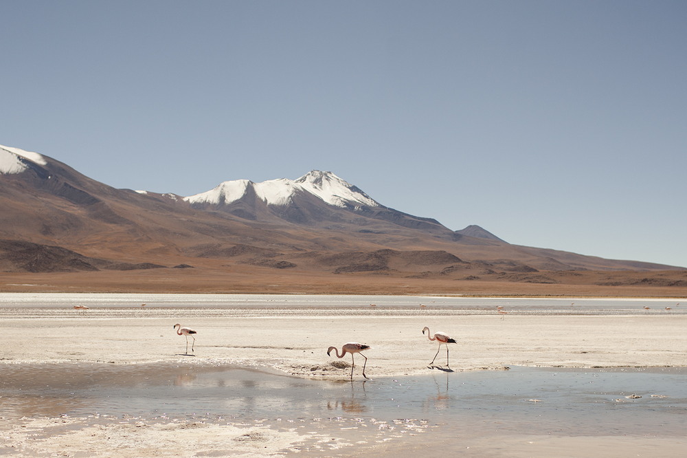 Боливия и Перу на снимках от Сони Сзостак