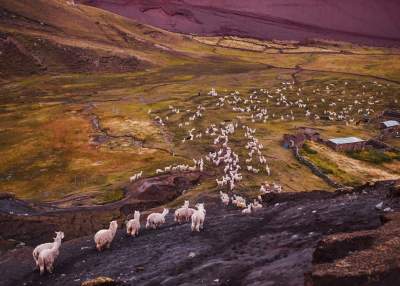 Неземные пейзажи Боливии и Перу в фотографиях путешественницы. Фото