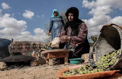  Жестокие реалии жизни в Палестине. Фото