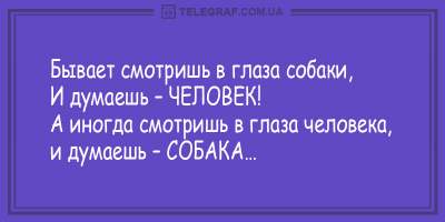 Свежие анекдоты о мужских обещаниях и одесских законах  