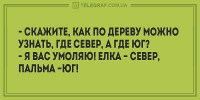 Свежие анекдоты о мужских обещаниях и одесских законах  