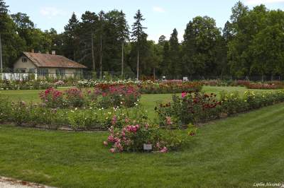 Прогулка по необычайно красивому венгерскому дворцу. Фото