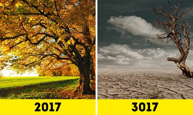 Прогнозы будущего через 1000 лет