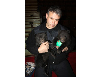 Житель Иркутской области подыскал работу медвежатам-сиротам