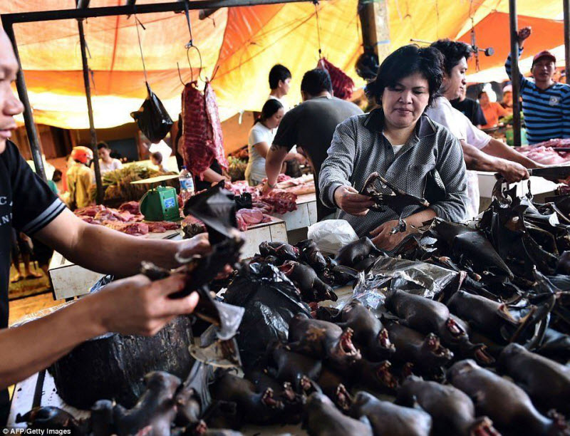Экзотические животные на индонезийских продовольственных рынках