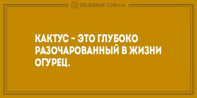 Свежие анекдоты о единственных причинах для женской обиды