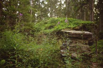 В Швеции нашли сказочную избушку, построенную в начале позапрошлого века. Фото