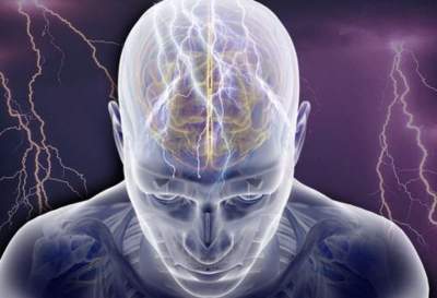 Психотерапевты развенчали основные мифы о нервной системе