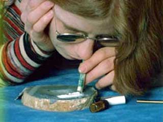 Вашингтонские младшеклассники отравились кокаином в школе