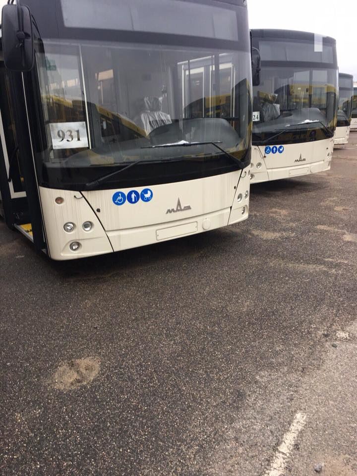 Запорожцам показали, как будут выглядеть большие автобусы и электробусы (фото)