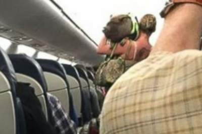 Пассажирку сняли с самолета из-за агрессивности ручной свиньи