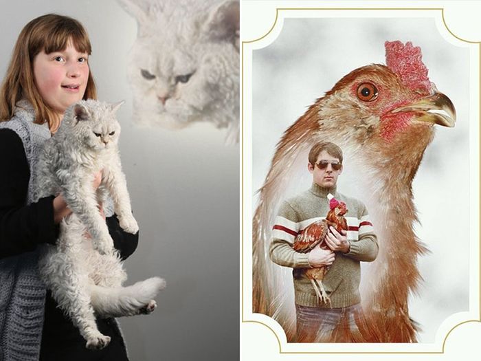 Странные и смешные снимки с домашними животными